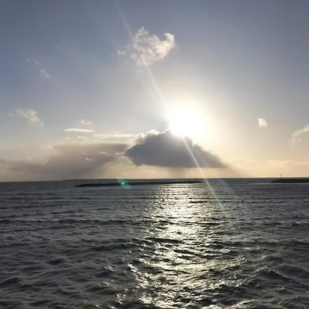 Apartamento In Its Simplicity *